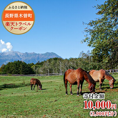 【ふるさと納税】長野県木曽町の対象施設で使える楽天トラベルクーポン寄付額10,000円（クーポン額3,000円）