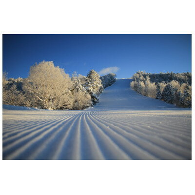 長野県木曽町の画像2