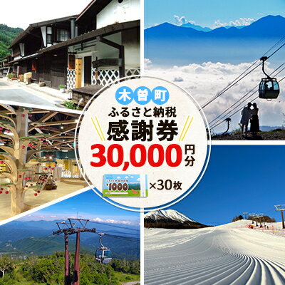 長野県木曽町の【ふるさと納税】木曽町ふるさと納税感謝券(30,000円分)【1421033】|詳細画像