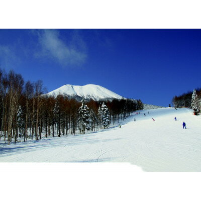 【ふるさと納税】マイアスキー場の施設利用券(木曽町ふるさと納税感謝券)　15,000 円分【1455475】