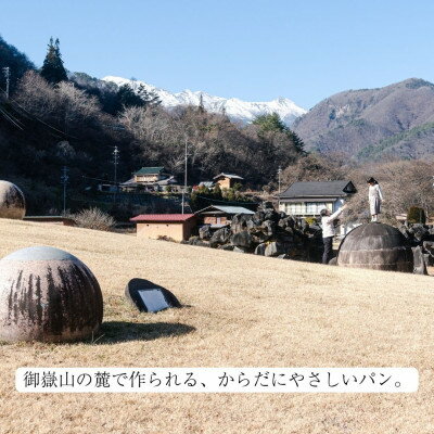 パパイヤジャム（100g）沖縄・石垣島より　無添加・自家製です