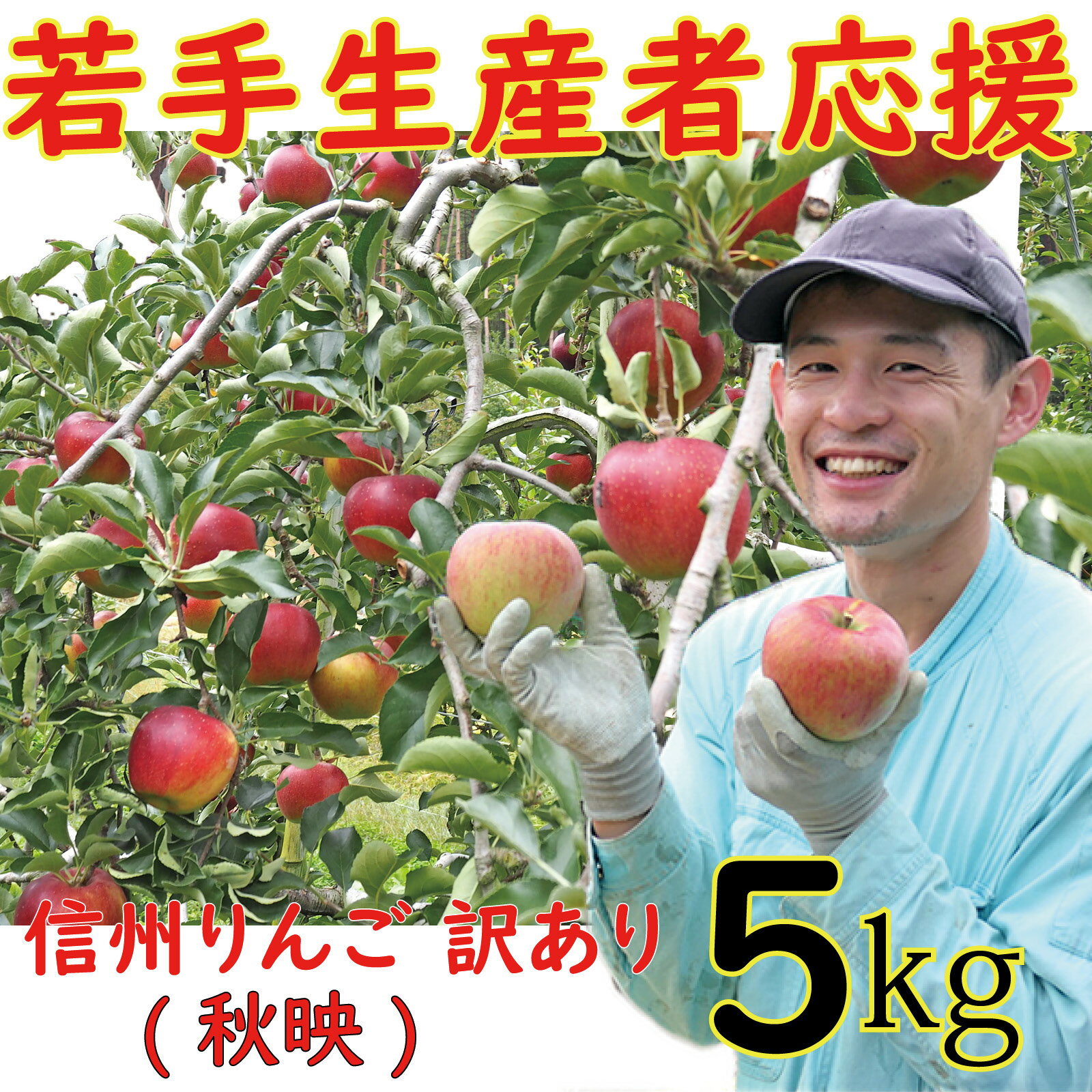 【ふるさと納税】 訳あり りんご 5kg 【新規就農者応援】 秋映 山崎健司 果物 フルーツ 先行 予約 信州 麻績村 不揃い 規格外 家庭用のサムネイル