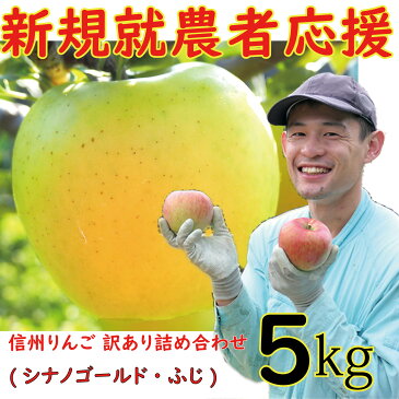 【ふるさと納税】 訳あり 楽天限定 りんご 5kg 【新規就農者応援】詰め合わせ シナノゴールド ふじ 食べ比べ 山崎健司 果物 フルーツ 先行 予約 信州 麻績村 不揃い 規格外