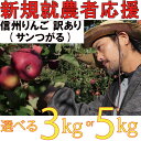【ふるさと納税】 訳あり りんご 選べる 3kg 5kg 【新規就農者応援】 つがる サンつがる 伊藤 快 果物 フルーツ 先行 予約 信州 長野県 長野 麻績村 不揃い 規格外 家庭用 産地直送 麻日屋 麻績 自宅用 8月下旬 2025年収穫分 先行予約 予約