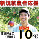 【ふるさと納税】 【新規就農者応援】 りんご 秋映 10kg 川上啓介 訳あり品 先行予約 信州 麻績村