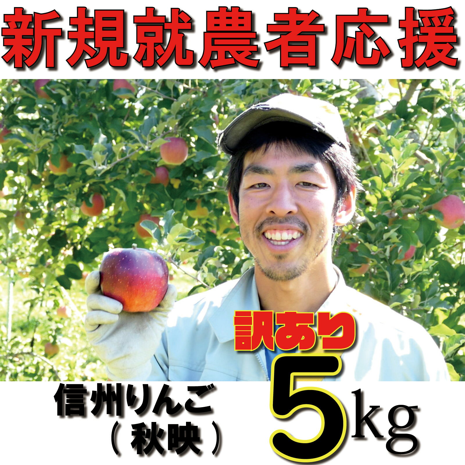 【ふるさと納税】 訳あり りんご 5kg 【新規就農者応援】 秋映 川上啓介 果物 フルーツ 先行 予約 信州 麻績村 不揃い 規格外