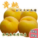 【ふるさと納税】【2025年 先行予約】黄桃 桃 選べる 2kg 3k...(4)
