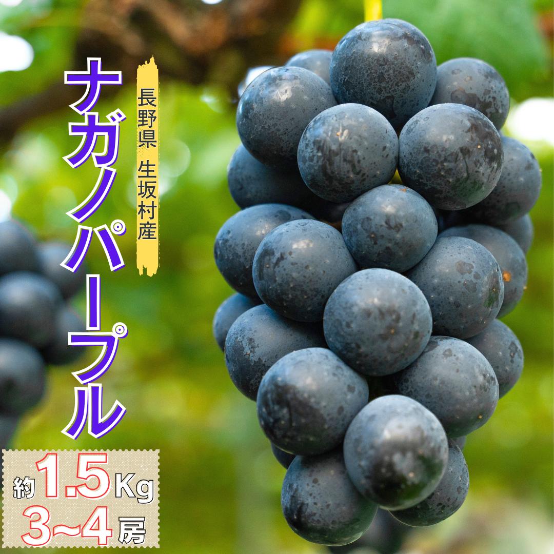 名称 ナガノパープル　約1.5kg(3~4房) 内容量 約1.5kg(3~4房) 産地 長野県生坂村 事業者 ぉいしいのうえん　すろーらいふ 配送方法 冷蔵配送 発送期日 9月中旬~10月中旬 備考 ※画像はイメージです。 ・ふるさと納税よくある質問はこちら ・寄附申込みのキャンセル、返礼品の変更・返品はできません。あらかじめご了承ください。ナガノパープル　約1.5kg(3~4房) 「皮ごと食べられる、感動の黒ぶどう。一番美味しくなる『その時』まで完熟させたナガノパープル」長野県生坂村の美しい自然に囲まれた「ぉいしいのうえん すろーらいふ」。私たちは、東京からこの地へ移住し、地域の歴史あるぶどう園を引き継ぎました。面積は55aと、農家としては小さな規模ですが、その分、我が子を育てるように毎日ぶどうたちと向き合い、愛情をたっぷり注いで栽培しています。果皮は黒紫色で、糖度が18~20度くらいと甘みが強くて酸味はおだやか。渋みは少なく、果汁たっぷりで香りもよく、ナガノパープル一房を食べると赤ワイン一本分のポリフェノールを摂取できると言う話もあり、健康にもよいぶどうです。一方で皮が薄くて実割れしやすく、ぶどうの中でも栽培が難しいと言われています。水分をよく吸い、粒が大きくなるため、当園の秀品ナガノパープルは一粒が30g近くになることも。一度食べたらやみつきになること間違いなし！この美味しさをぜひご堪能下さい。※画像はイメージです。※2026年9月中旬頃から順次発送いたします。※発送時期は天候や発育によりお届けが遅れる、又は早まることがあります。※天候により収穫時期が前後するためお届け日の指定は出来ません。※生ものですので、届きましたら冷蔵庫に入れ、お早めにお召し上がりください。※沖縄および離島へのお届けは出来かねますのでご了承ください。※上記のエリアからの申し込みは返礼品の手配が出来ないため、「キャンセル」または「寄附のみ」とさせていただきます。予めご了承ください。 事業者名：ぉいしいのうえん　すろーらいふ 寄附金の用途について みなさんの熱い心でふるさと「いくさか」をつくるための事業 ふるさとの自然や環境を守る事業 ふるさとの福祉・教育の充実発展に資する事業 ふるさと「いくさか」と寄付者を含む都市との交流を発展させる事業 その他、村長が必要と認める事業 受領証明書及びワンストップ特例申請書のお届けについて 入金確認後、注文内容確認画面の【注文者情報】に記載の住所にお送りいたします。発送の時期は、入金確認後2~3週間程度を目途に、お礼の特産品とは別にお送りいたします。