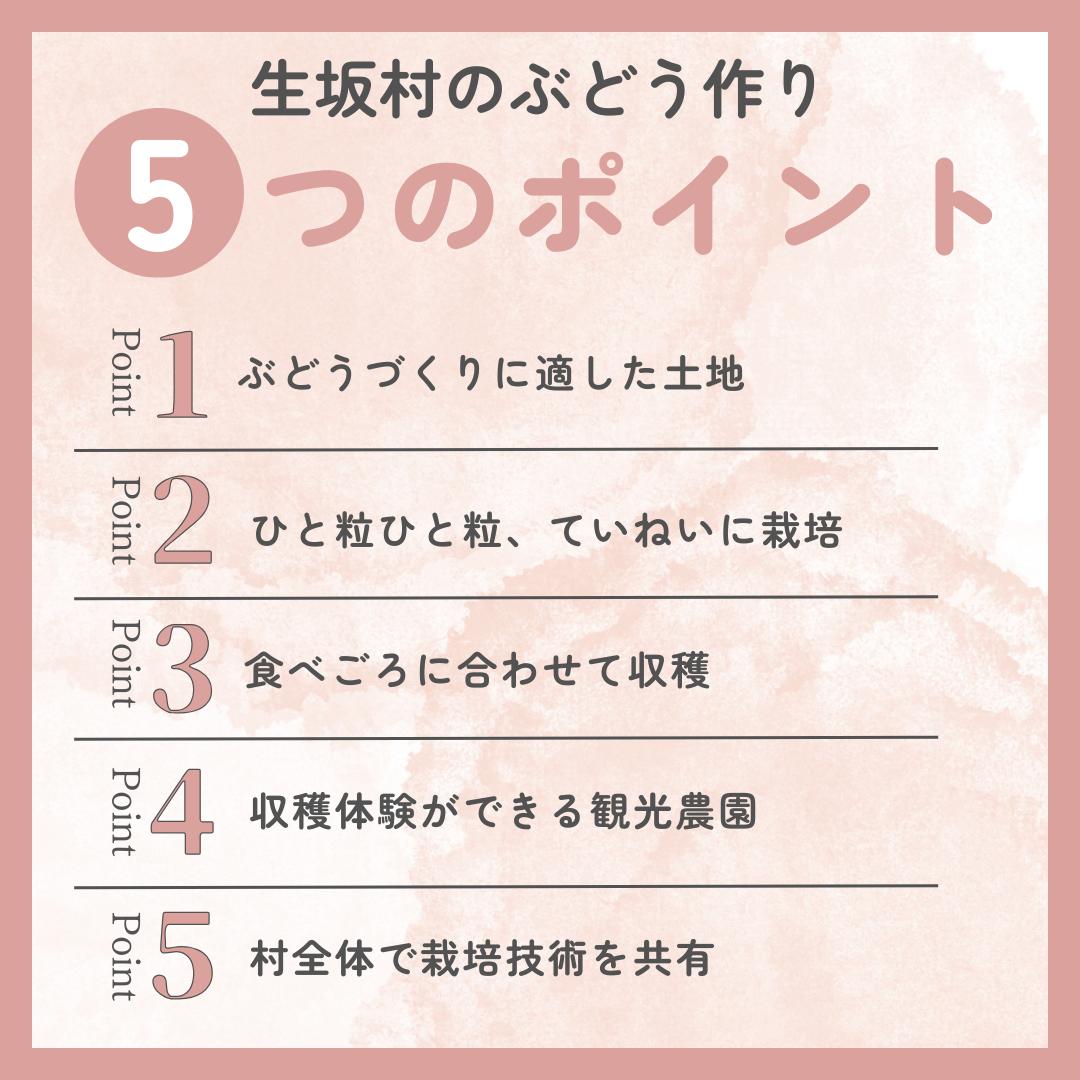 【ふるさと納税】ナガノパープル　8パック（360g×4パック×2箱)