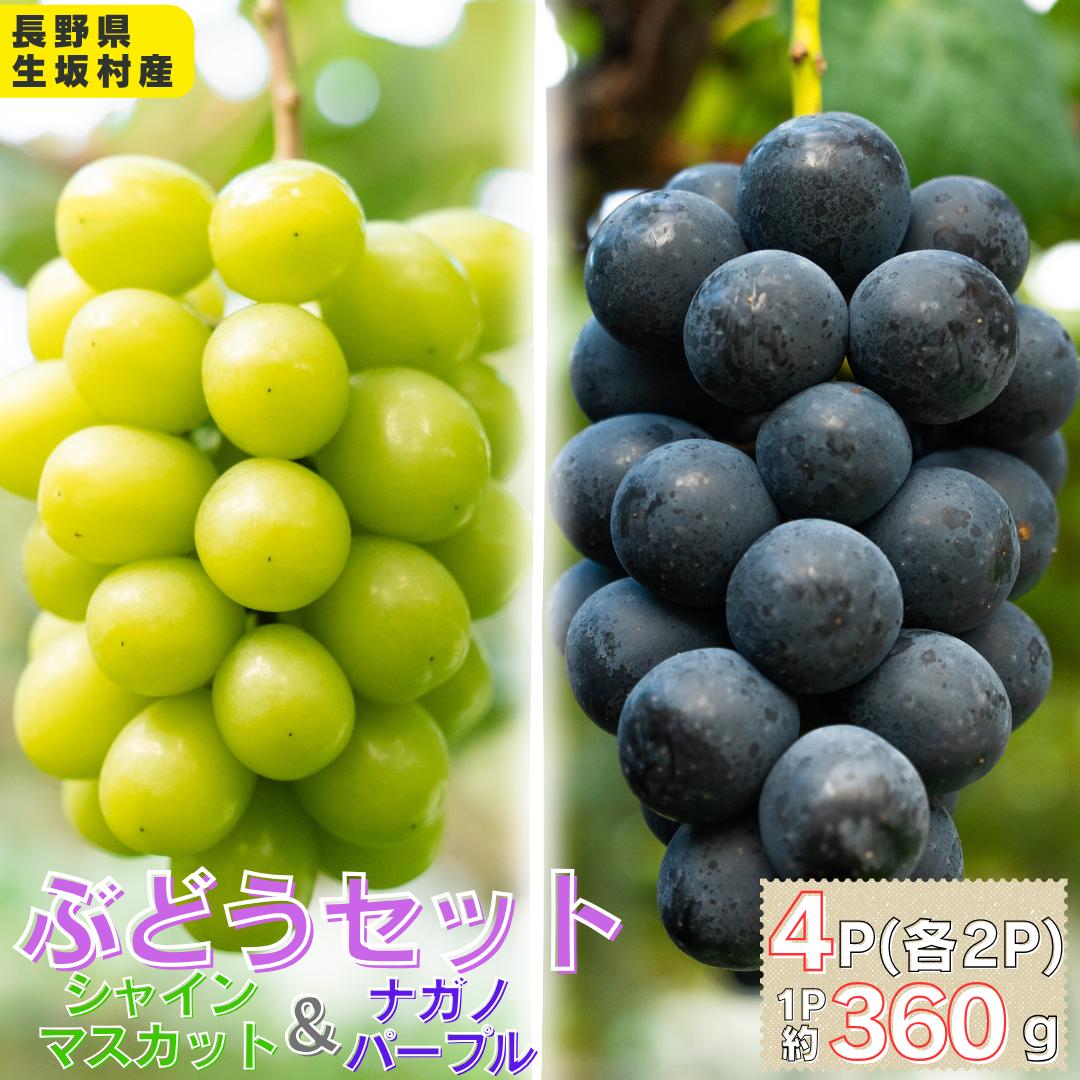 【ふるさと納税】シャインマスカット＆ナガノパープル　4パック（360g×4パック)