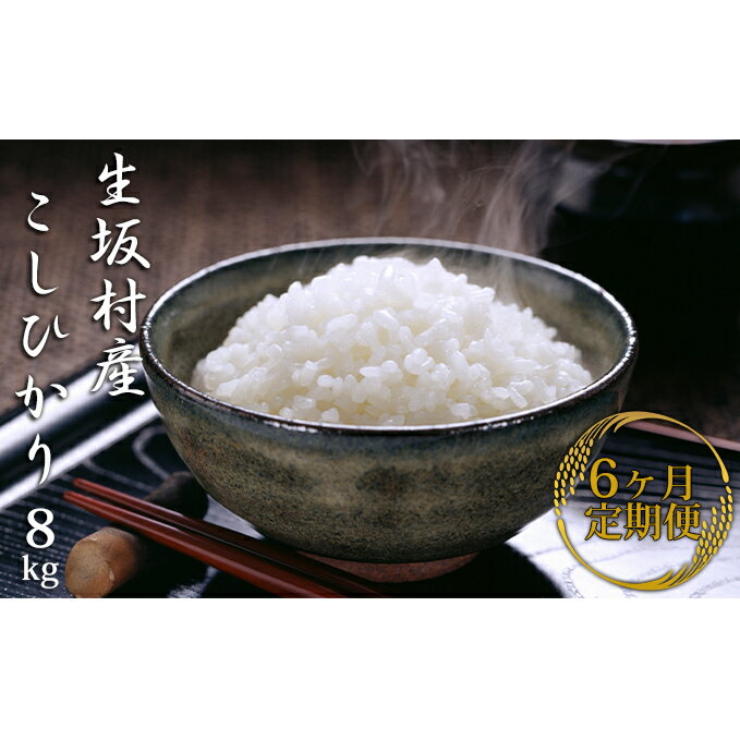 11位! 口コミ数「0件」評価「0」【6ヶ月連続お届け】いくさかのお米 8kg コシヒカリ　【定期便・お米・コシヒカリ・定期便】