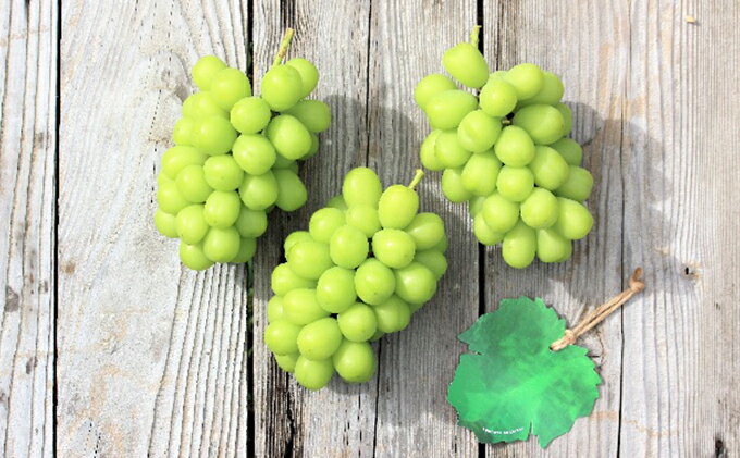 【ふるさと納税】【2026年産】 訳ありシャインマスカット 約3.2kg（6~11房） 果物 ぶどう フルーツ 果物類