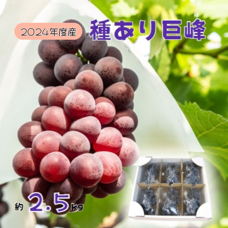 ڤդ뤵Ǽǡ2024ǯ  濫Х˼Хγѥå2.5kg¼ۡϤ2024ǯ9ܡ10