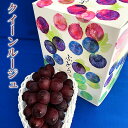【ふるさと納税】村松農園 クイーンルージュ1房 約500g 果物 新種 葡萄 ブドウ 種なし フルーツ デザート 食後 おやつ 産地直送 長野県産