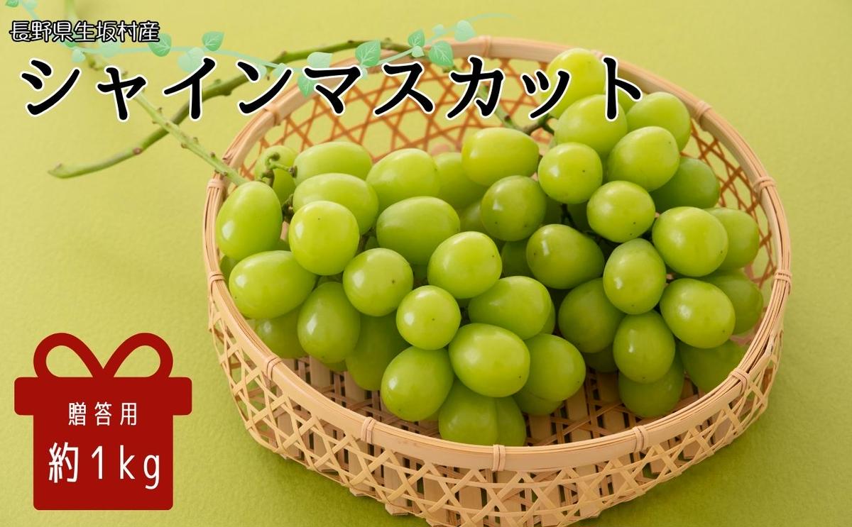 【ふるさと納税】2024年発送 先行予約 贈答用 シャインマスカット約1kg（2房）　【果物類・ぶどう・マスカット・フルーツ】　お届け：2024年9月上旬～9月下旬