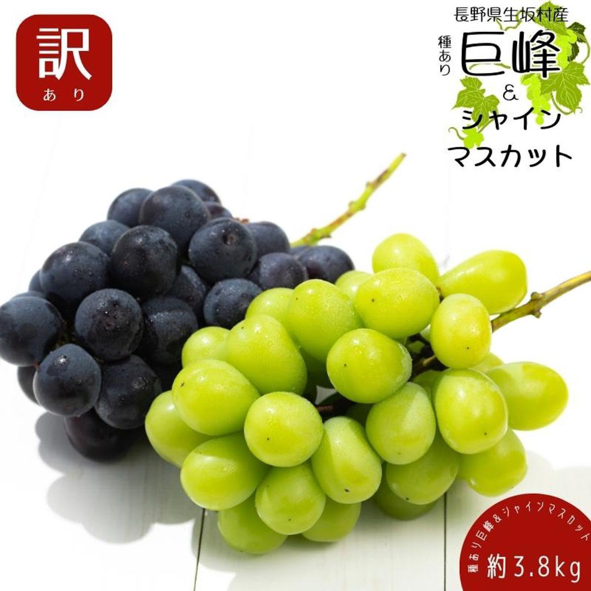 【ふるさと納税】【2026年発送 先行予約】 訳あり 種あり巨峰&シャインマスカット約3.8kg 9~13房 果物 ぶどう フルーツ デザート おやつ 長野県産...
