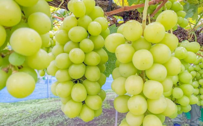 長野県生坂村の画像3