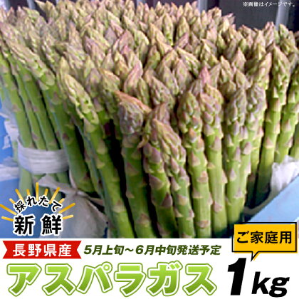 アスパラガス 長野県 山形村 農家直送 新鮮 1kg 1013【先行予約・ご家庭用】採れたて新鮮 長野県産アスパラガス 1kg