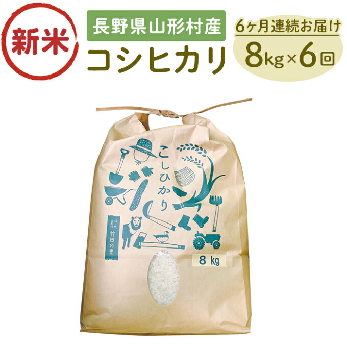 【ふるさと納税】米 コシヒカリ 1407【6か月連続お届け】長野県産米コシヒカリ8kg