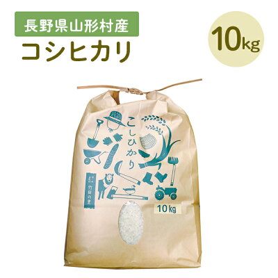 楽天ふるさと納税　【ふるさと納税】米 コシヒカリ 1410 長野県産米コシヒカリ 10kg