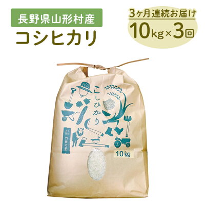 楽天ふるさと納税　【ふるさと納税】米 コシヒカリ 1411【3か月連続お届け】長野県産米コシヒカリ 10kg