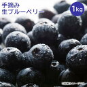 【ふるさと納税】1808手摘みブルーベリー生果実1kg（JA松本ハイランド産）