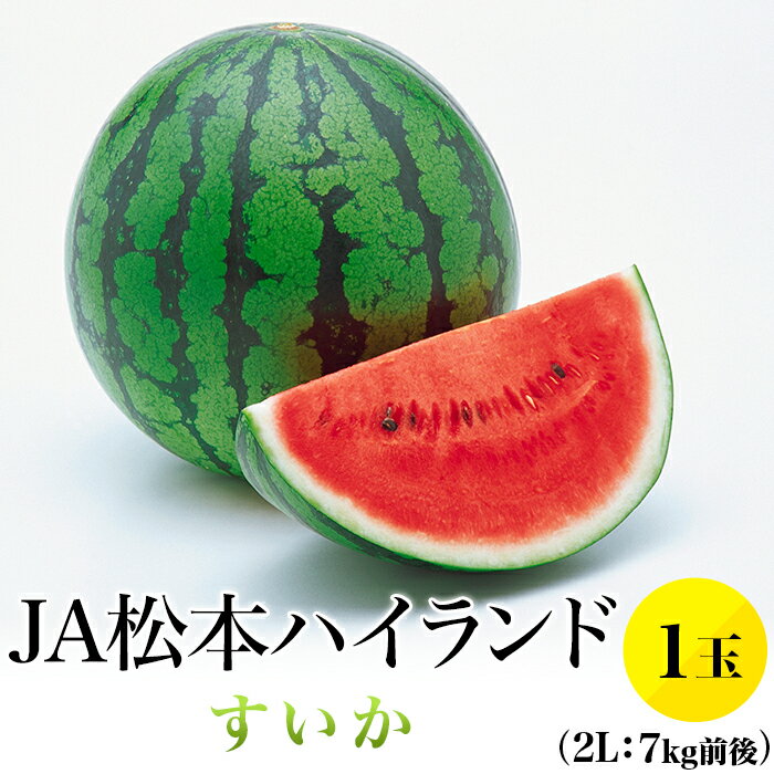 【ふるさと納税】先行予約 松本ハイランド スイカ 約7kg 2L×1玉 西瓜 糖度11度以上 1811【2L】JA松本ハイランドすいか1玉 （約7kg）【2024年7月中旬～8月上旬発送】