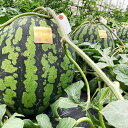 長野県山形村の画像3