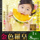 【ふるさと納税】先行予約 スイカ 金色羅皇 8kg以上（8kg以上×1玉）西瓜 大玉 甘い 黄色 黄金 糖度 こんじきらおう 2207 大玉すいか「金色羅皇」(8kg以上x1玉)【2024年8月発送予定】