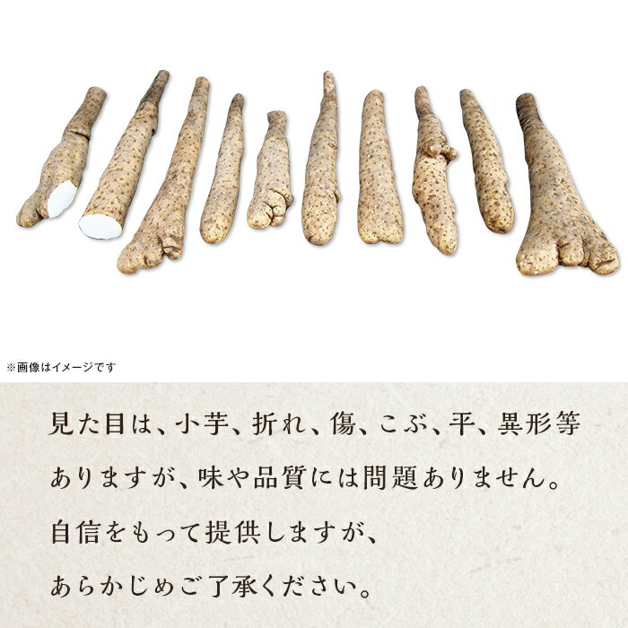 【ふるさと納税】長芋　訳あり　B品　格外品　長野県山形村産　山形村産　とろろ 【訳あり】それでも美味しい！こだわって作った産地直送 長野県山形村産 長いも 4kg 箱入れ