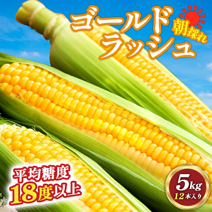 スイートコーン「ゴールドラッシュ」5kg（2L～3L 12本入り）2401