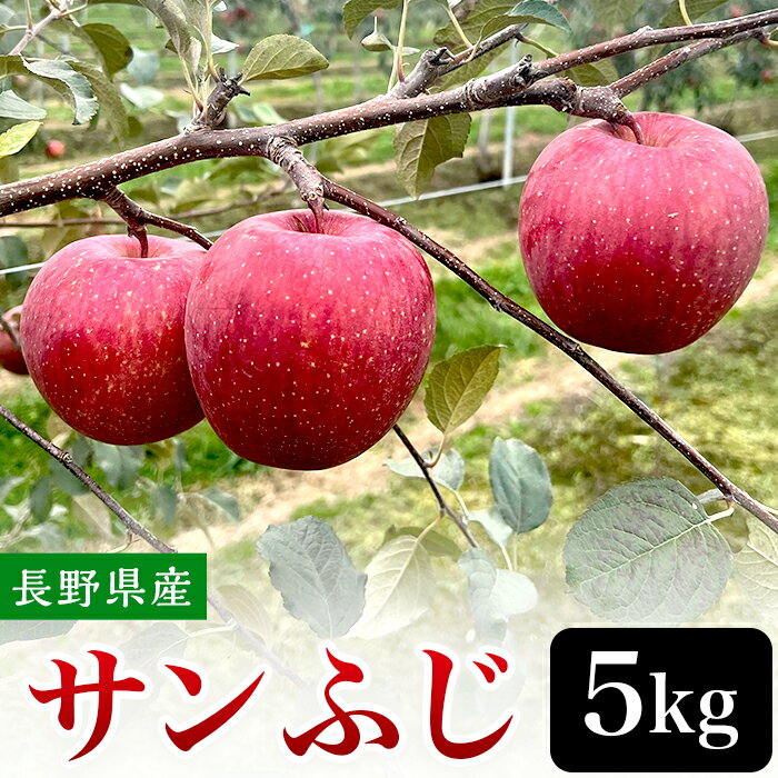 19位! 口コミ数「0件」評価「0」2408長野県産りんご（サンふじ）5kg