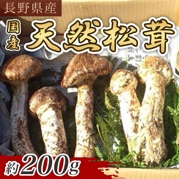 松茸 季節限定 数量限定 3003 国産 天然 長野県山形村産 マツタケ 約200g