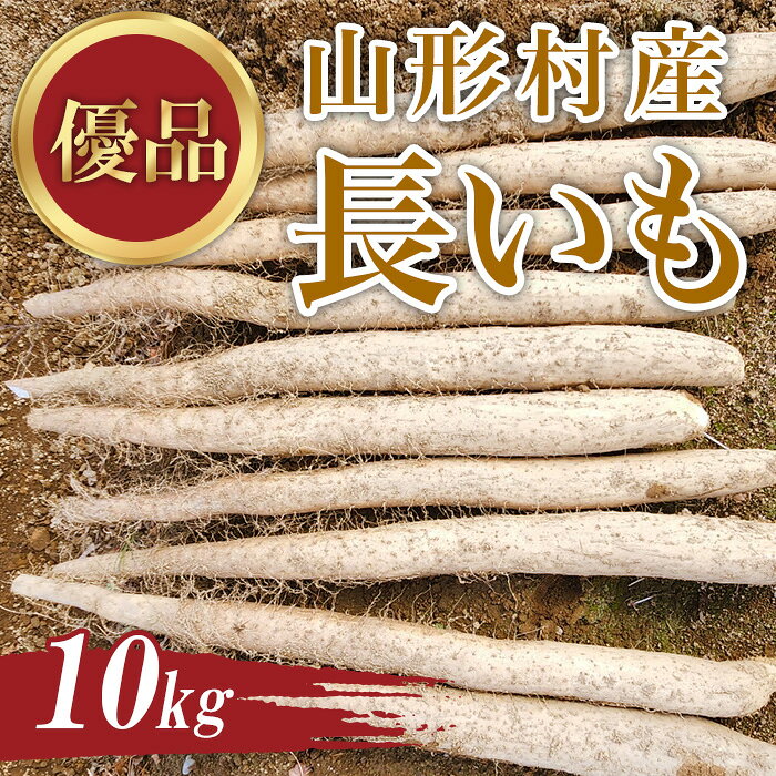 3203 信州山形村産 長いも 優 10kg