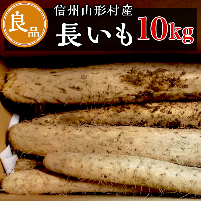 【ふるさと納税】3205 信州山形村産 長いも 良 10kg