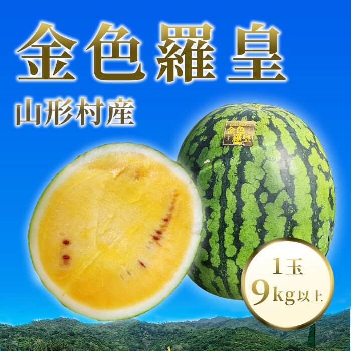 【ふるさと納税】先行予約 すいか スイカ 西瓜 金色羅皇 こんじきらおう 希少 人気 新品種 黄色 ゴール..