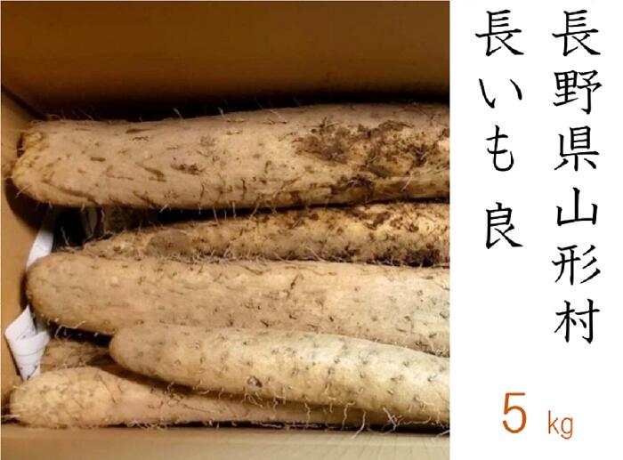 【ふるさと納税】3204 信州山形村産 長いも 良 5kgのサムネイル