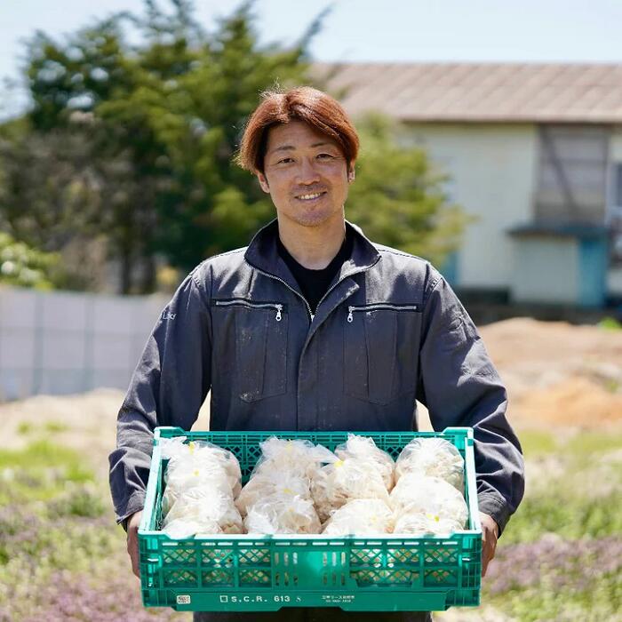 【ふるさと納税】3701 長野県山形村産 白ヒラタケ「信州プルロット」