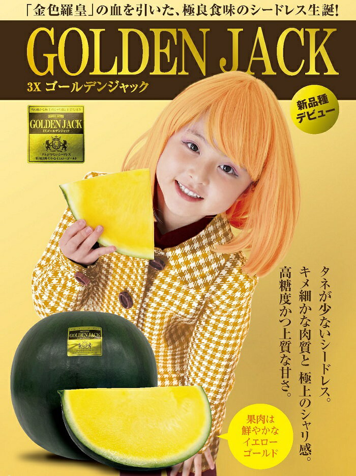 【ふるさと納税】すいか スイカ 西瓜 ゴールデンジャック 種なし 大玉 金色 1玉 甘い 黄色 山形村 長野..