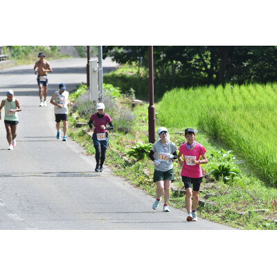 【ふるさと納税】第八回鉢盛山登山マラソン　ロードコース出走権/開催日:2026年8月9日【1721919】