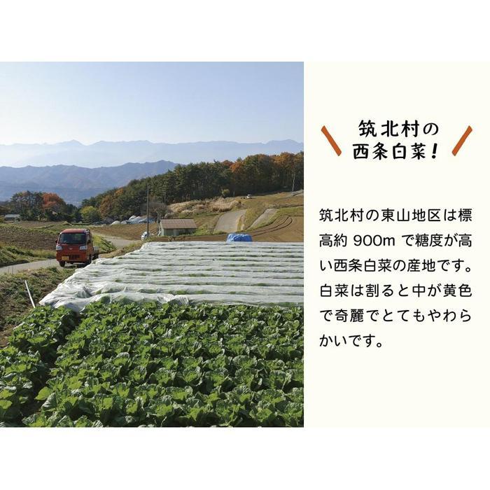 【ふるさと納税】【9月～2月配送】 筑北村 特産 西条白菜のキムチ　元（ゲン） キムチ 1kg | 惣菜 野菜 産直 産地直送 生産者直送 長野県 信州