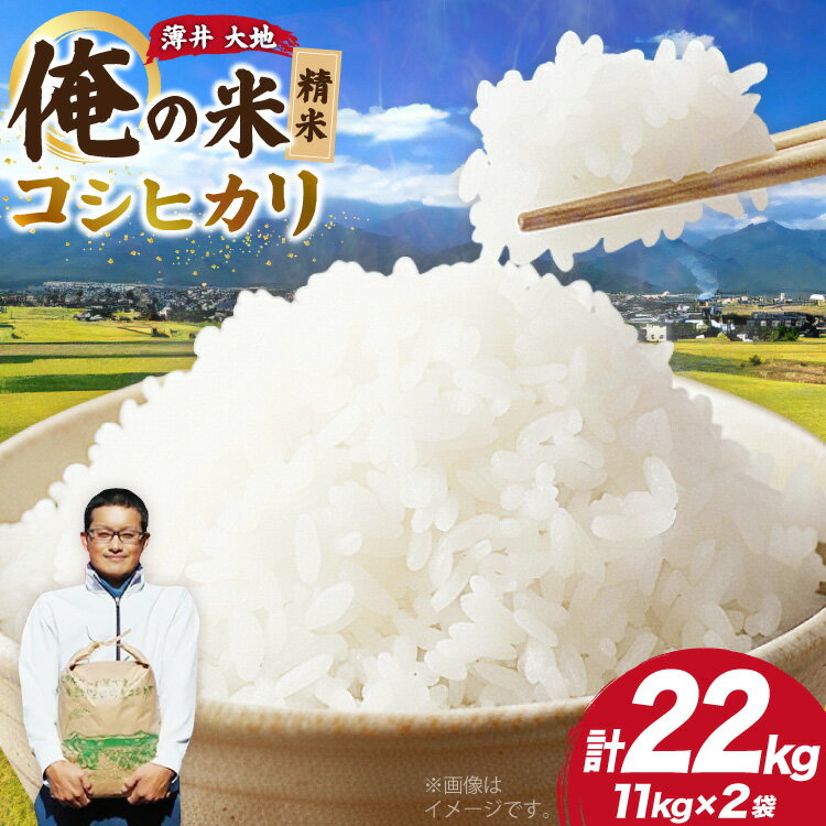 [俺の米]米 令和7年 コシヒカリ 精米 11kg×2袋 計22kg [薄井 大地 長野県 池田町 48110783] お米 白米 ごはん こしひかり 美味しい 農家 直送