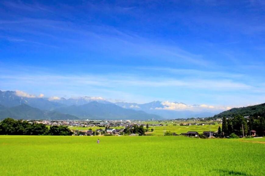 【ふるさと納税】 米 令和7年 長野県産 コシヒカリ 5kg（精米） [大北農業協同組合 長野県 池田町 48110835] お米 こめ ごはん 令和7年産 5キロ 精米 白米 こしひかり