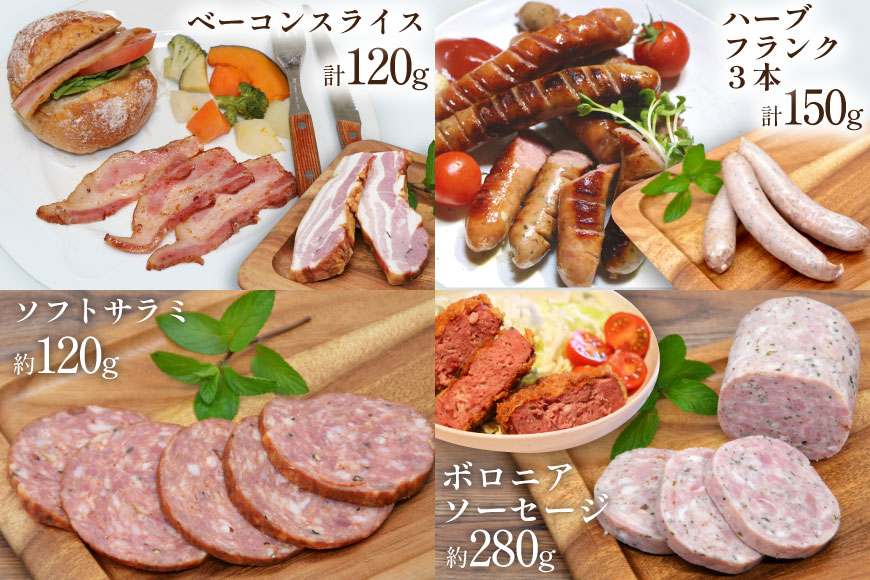 【ふるさと納税】 ソーセージ 定期便 3回 詰め合わせ 4点 セット [安曇野食工房 長野県 池田町 48110918] フランク ベーコン サラミ
