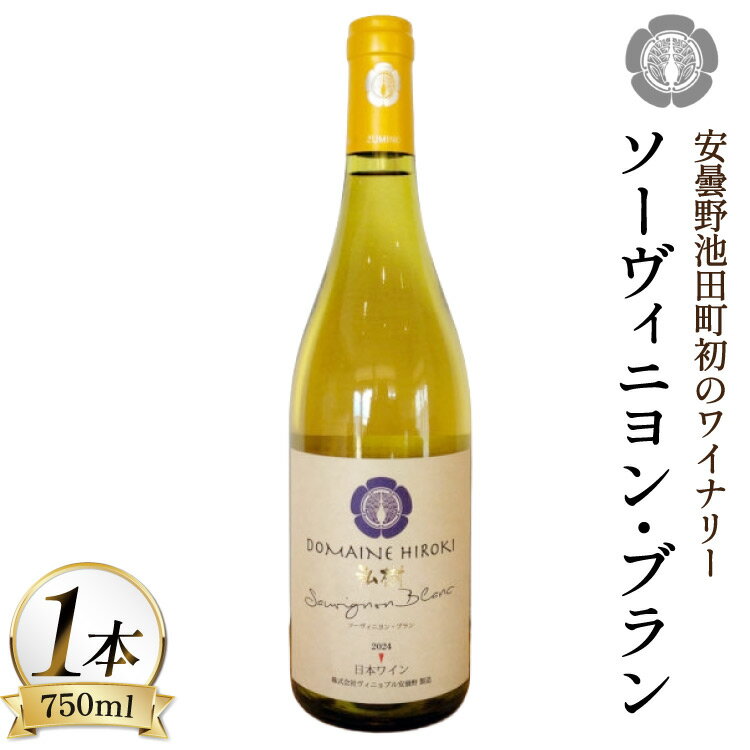 ワイン 白ワイン ソーヴィニヨン・ブラン 750ml 1本 [ヴィニョブル安曇野 長野県 池田町 48110838] 白ワイン 白 わいん お酒 酒 Wine ソーヴィニヨン 辛口 長野 長野県産