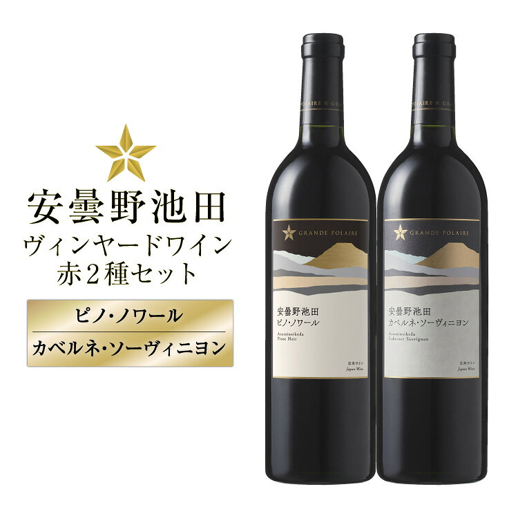 赤ワイン セット サッポログランポレール 安曇野池田ヴィンヤードワイン 赤2種セット 750ml 計2本 [ナチュラルマルシェ ソヨソヨ 長野県 池田町 48110928] 酒 お酒 アルコール 赤 赤ワイン 国産 あるこーる ぶどう 特別 フルボディ ミディアムボディ 料理