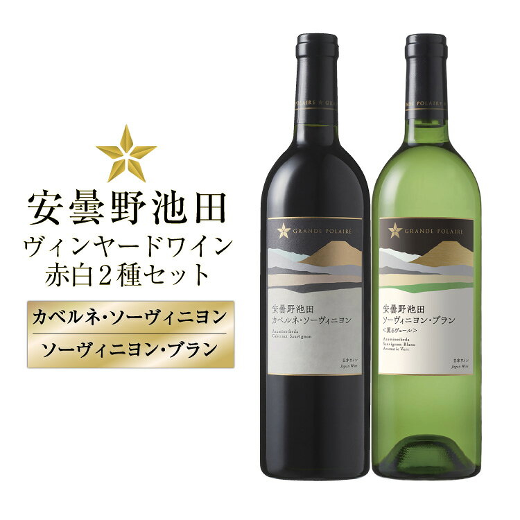 【ふるさと納税】 ワイン セット サッポログランポレール 安曇野池田ヴィンヤードワイン 赤白2種セット 750ml 計2本 [ナチュラルマルシェ ソヨソヨ 長野県 池田町 48110929] 酒 お酒 アルコール 赤 赤ワイン 白 白ワイン 国産 あるこーる ぶどう 特別 フルボディ 辛口 料理