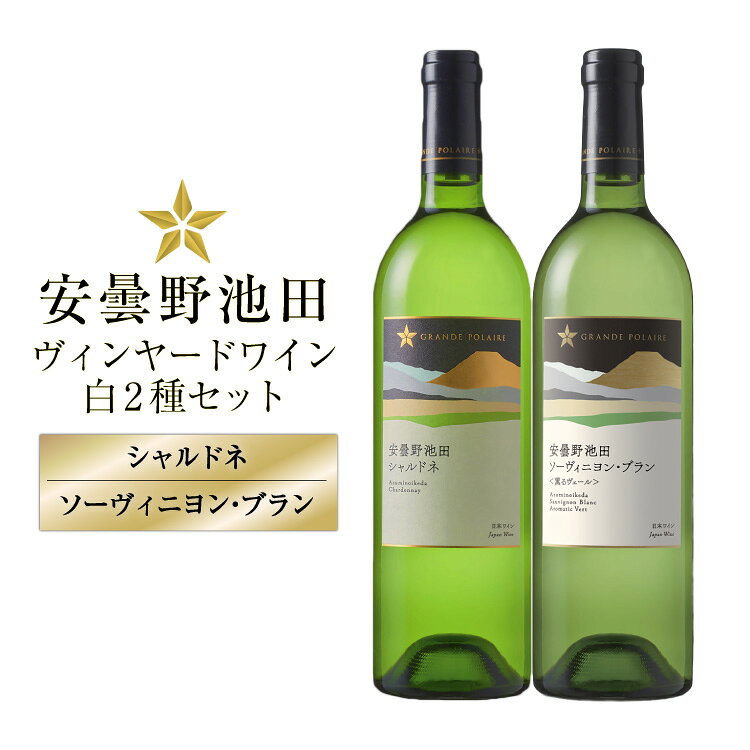 【ふるさと納税】 ワイン セット サッポログランポレール 安曇野池田ヴィンヤードワイン 白2種セット 750ml 計2本 [ナチュラルマルシェ ソヨソヨ 長野県 池田町 48110930] 酒 お酒 アルコール 白 白ワイン ブラン 国産 あるこーる ぶどう 特別 辛口 料理 セット