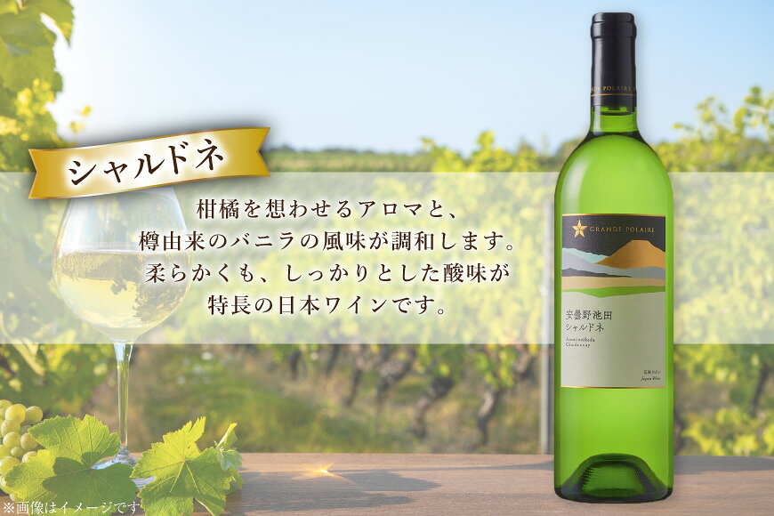 【ふるさと納税】 ワイン セット サッポログランポレール 安曇野池田ヴィンヤードワイン 白2種セット 750ml 計2本 [ナチュラルマルシェ ソヨソヨ 長野県 池田町 48110930] 酒 お酒 アルコール 白 白ワイン ブラン 国産 あるこーる ぶどう 特別 辛口 料理 セット f204811-ikeda-10000783 長野県池田町 サンプル画像2