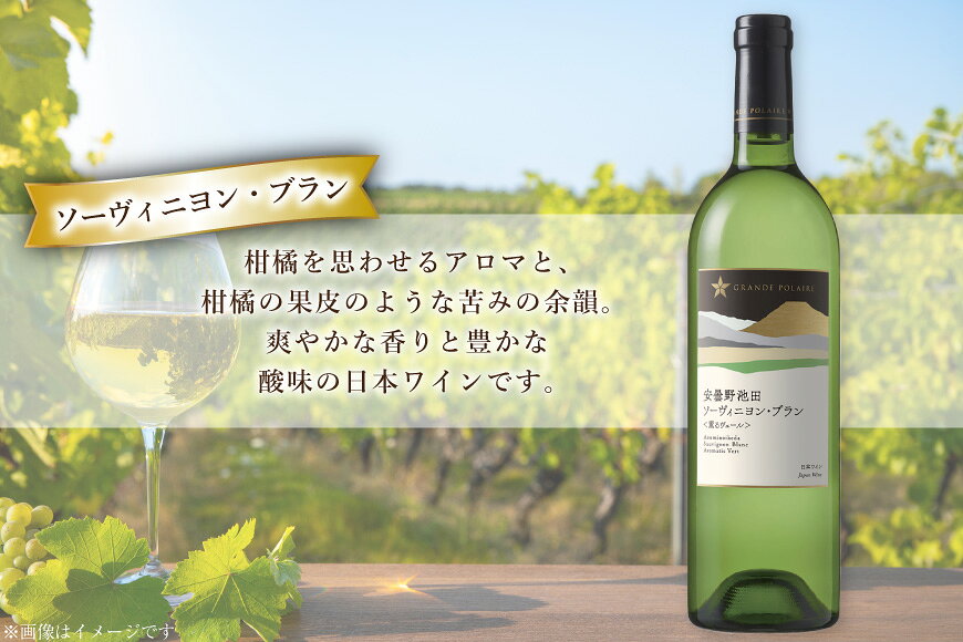 【ふるさと納税】 ワイン セット サッポログランポレール 安曇野池田ヴィンヤードワイン 白2種セット 750ml 計2本 [ナチュラルマルシェ ソヨソヨ 長野県 池田町 48110930] 酒 お酒 アルコール 白 白ワイン ブラン 国産 あるこーる ぶどう 特別 辛口 料理 セット f204811-ikeda-10000783 長野県池田町 サンプル画像3